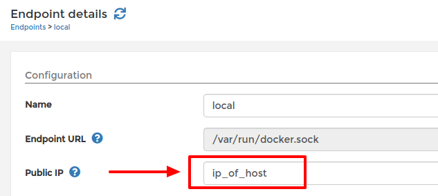 Setting public IP of local endpoint